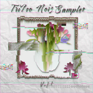 TriIso Noiz Samples Vol.1