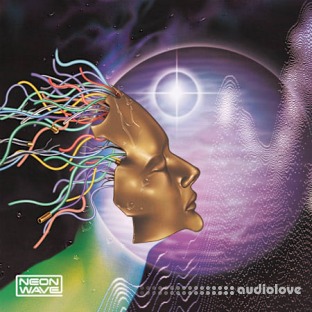 Neon Wave Digital Decay Vaporwave Cache