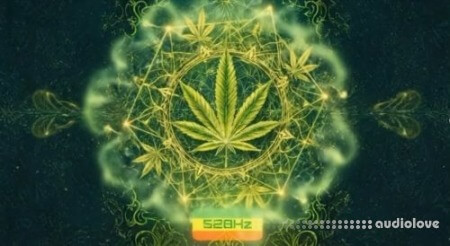 Atix Universe RASTA 528Hz