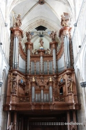 Sonus Paradisi St. Omer
