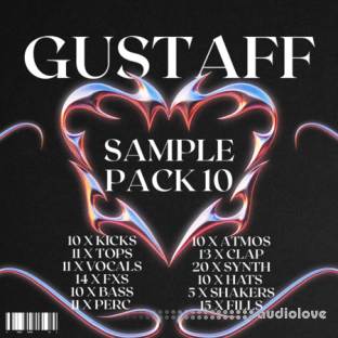 GUSTAFF Groove Sample Pack Vol.10