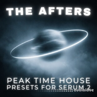 Big Z Sounds The Afters Peak Time House Presets for Serum 2