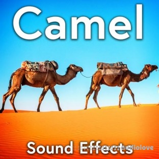 Sound Ideas Camel Sound Effects