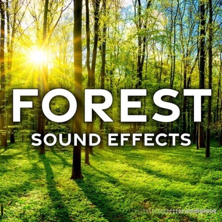 Sound Ideas Forest Sound Effects