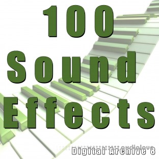 The Digital Sound Effects Group 100 Sound Effects Digital Archive 8