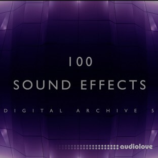 The Digital Sound Effects Group 100 Sound Effects Digital Archive 5