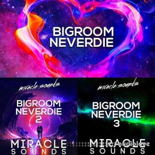 Miracle Sounds Bigroom Neverdie Bundle