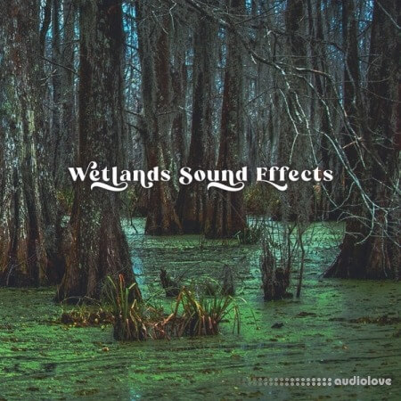 Close to Nature Music Ensemble Wetlands Sound Effects