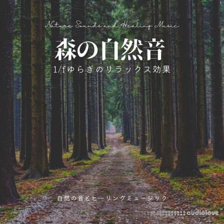 Nature Sounds and Healing Music Forest Nature Sound Relaxation Effect Fluctuation