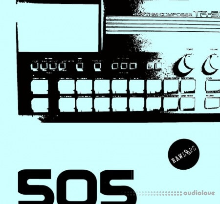 Raw Loops 505 Drum Hits