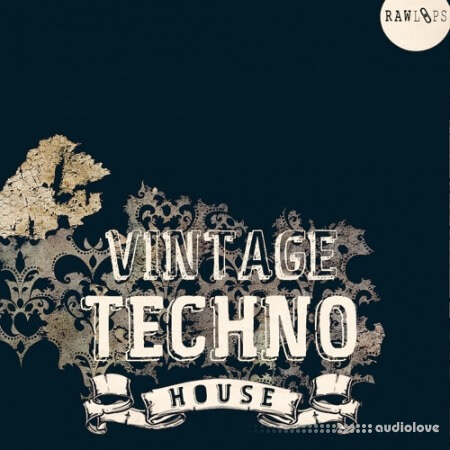 RAW LOOPS Vintage Techno House