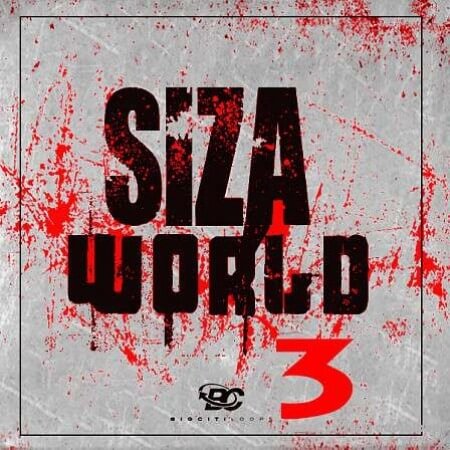 Big Citi Loops Siza World 3