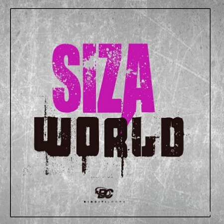 Big Citi Loops Siza World