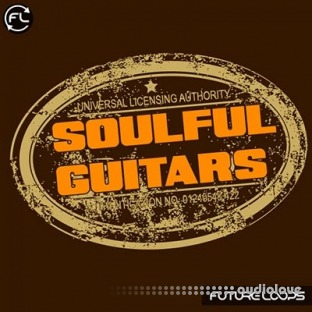 Future Loops Soulful Guitars