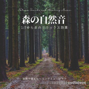 Nature Sounds and Healing Music Forest Nature Sound Relaxation Effect Fluctuation