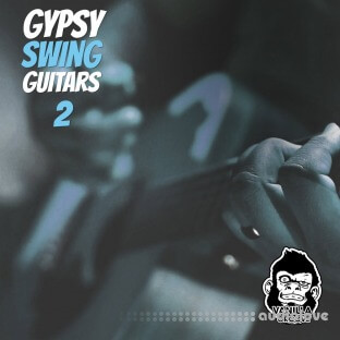 Vanilla Groove Studios Gypsy Swing Guitars Vol 2