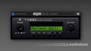 Martinic TG100 Reverb