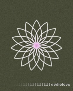 Anx Oneness A Creative Library