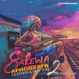 Daneemoe Salewa Vol 2 Afrobeats Guitars And Rhythms