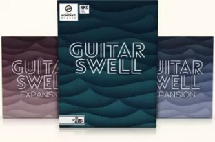 In Session Audio Guitar Swell and Expansions
