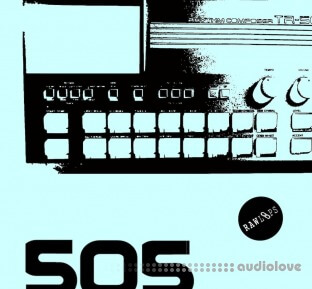 Raw Loops 505 Drum Hits
