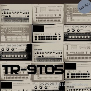 RAW LOOPS TR-9to5 Drum Hits