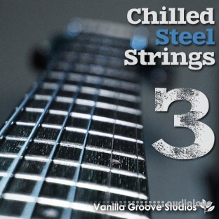 Vanilla Groove Studios Chilled Steel Strings Vol.3