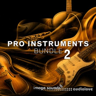 Steinberg Pro Instruments Bundle 2