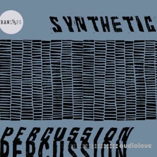RAW LOOPS Synthetic Percussion