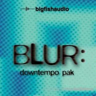 Big Fish Audio Blur Downtempo Pak