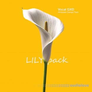 VOCAL GXD Lily Afrobeats Sample Pack