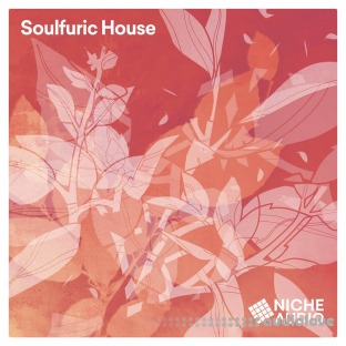 Niche Audio Soulfuric House 2