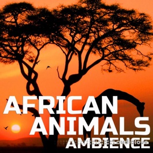 Animal Planet Soundscapes African Animals Ambience