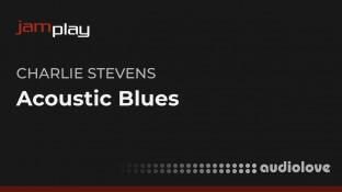 Truefire Charlie Stevens Acoustic Blues