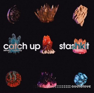Speenzy Catch Up Stash Kit