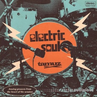 Tamuz Electric Soul A Soulquarian-Inspired Sample Pack