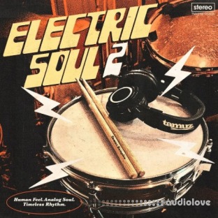 Tamuz Electric Soul Vol.2 Soulquarian-Inspired Samples