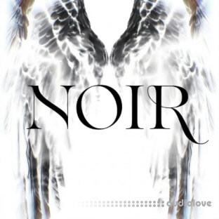 Prod. Josh Bae Noir K-Pop Kit