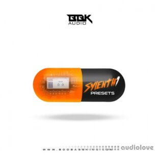BBK Audio Sylenth1 Presets